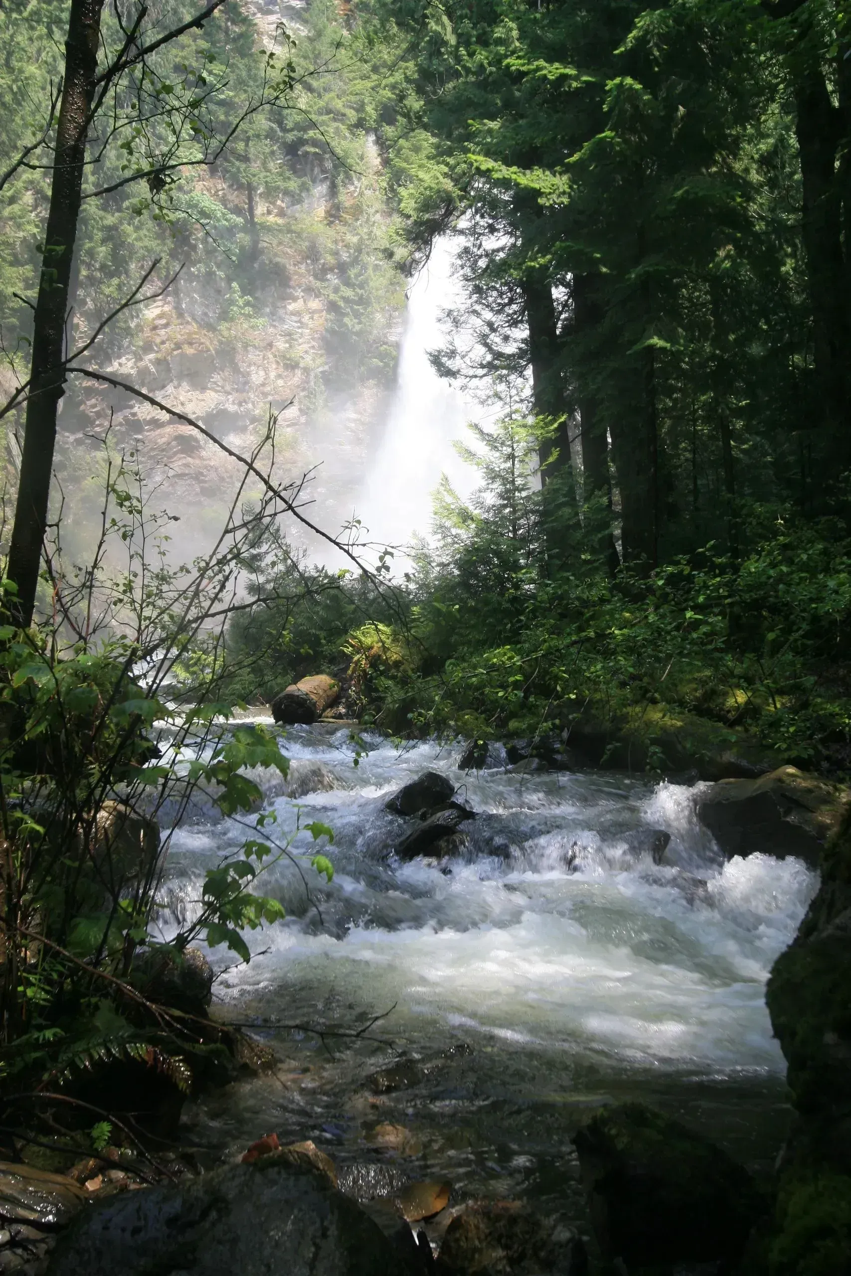 Forest waterfall cascading into a rocky stream, surrounded by lush green trees and mist.