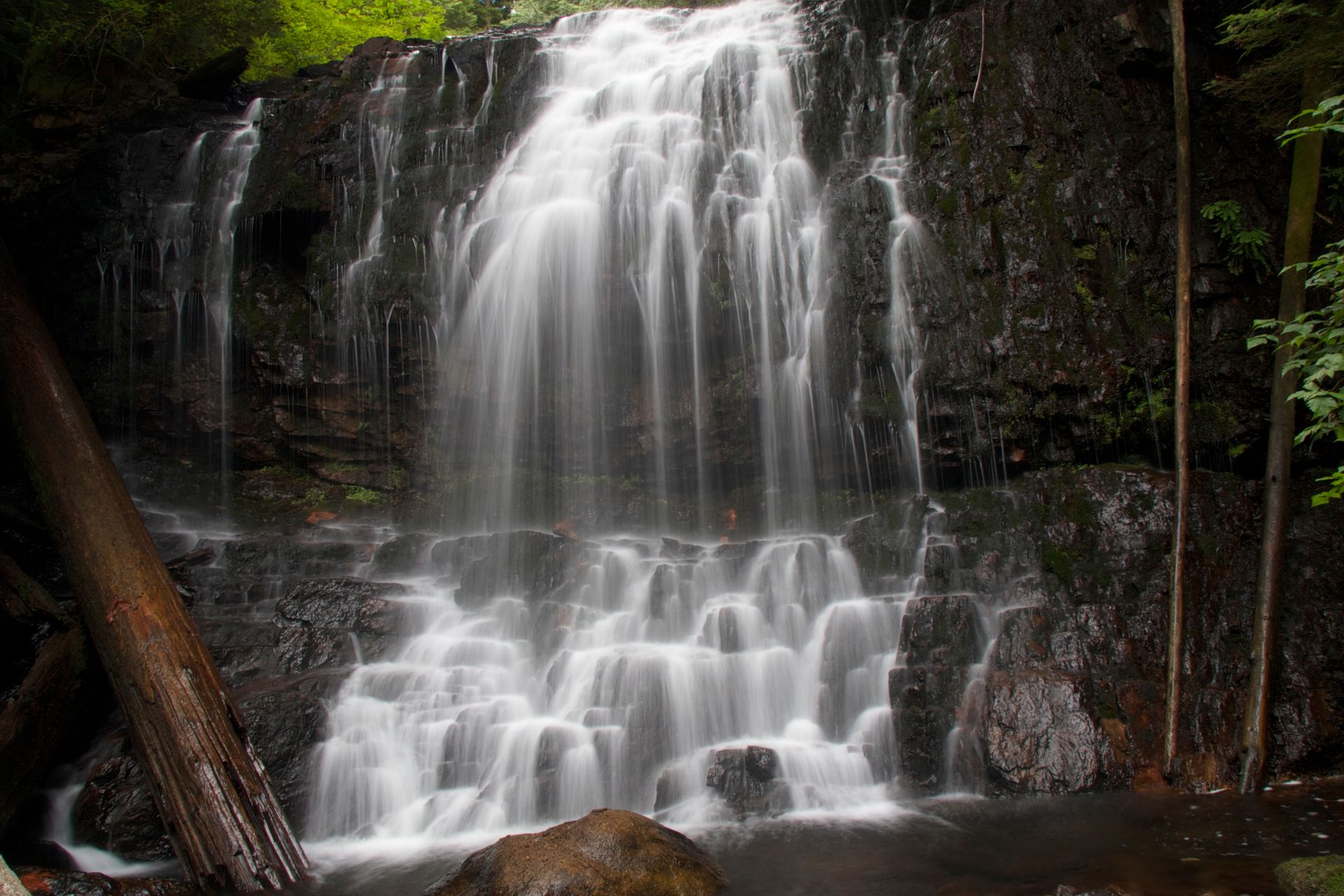 Small waterfall cascading over dark rocks in a forest setting
