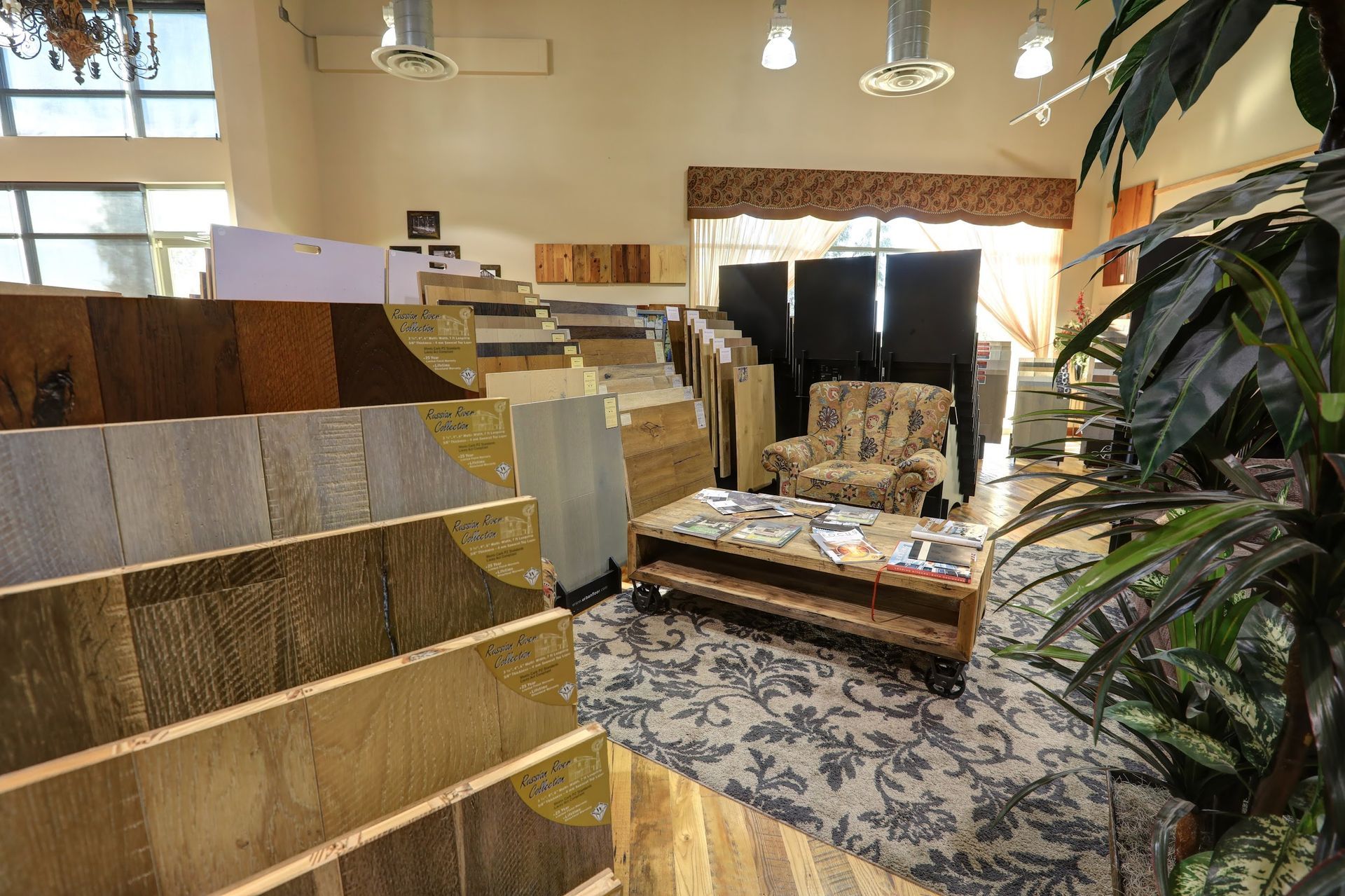 A living room with a couch , coffee table , and a plant.