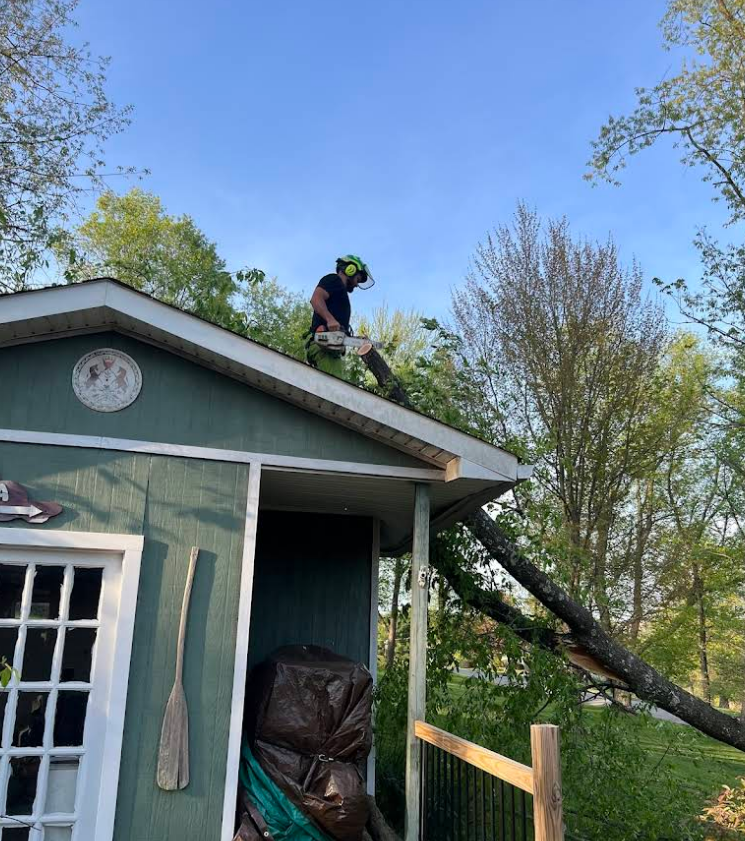 Person on a roof using a chainsaw to remove a tree branch. Green shed, clear sky.
