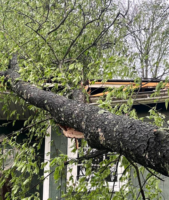 Tree limb fallen onto a house roof, causing damage. Green leaves, grey sky, and white window visible.