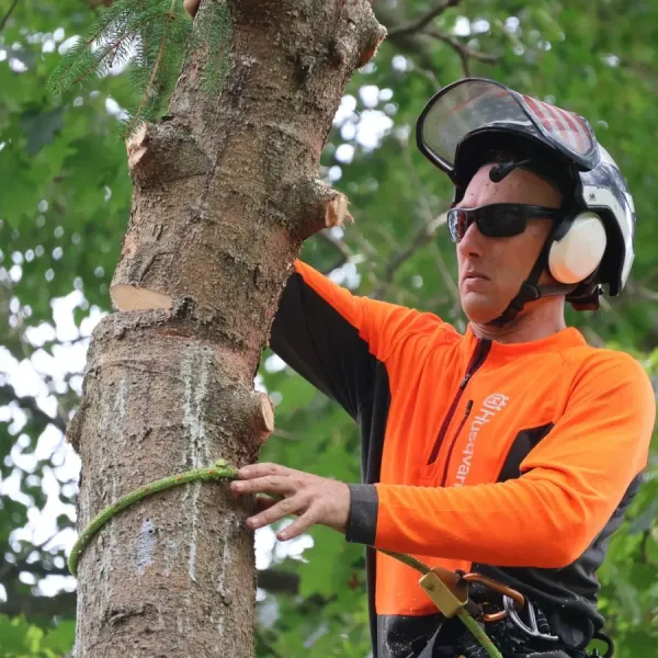 Arborist in an orange work shirt, helmet, and sunglasses, working on tree branches with a rope.