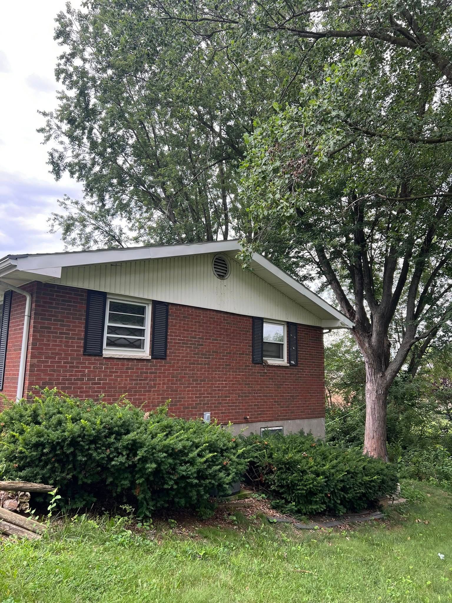 Brick house exterior with black shutters, white roof trim, shrubs, and a large tree in front