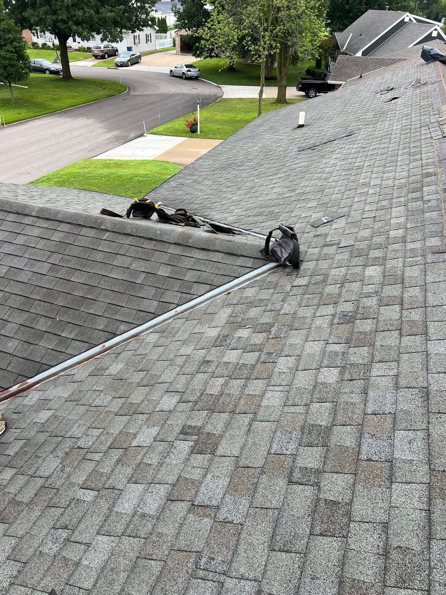 A small group of pigeons roosts on the shingled roof of a residential house near a suburban street.