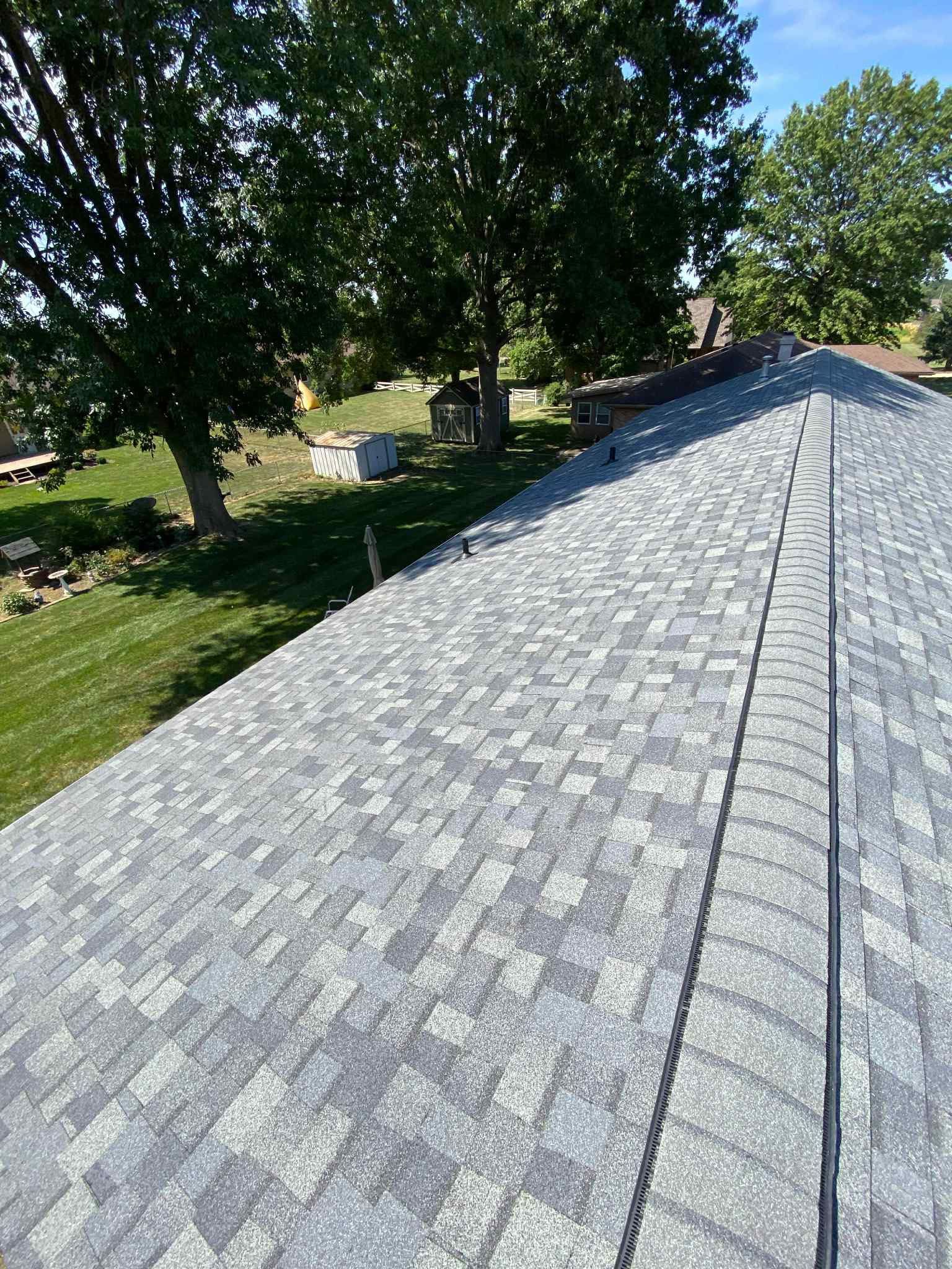 Gray shingled roof in a grassy yard with large trees and a small shed in the background
