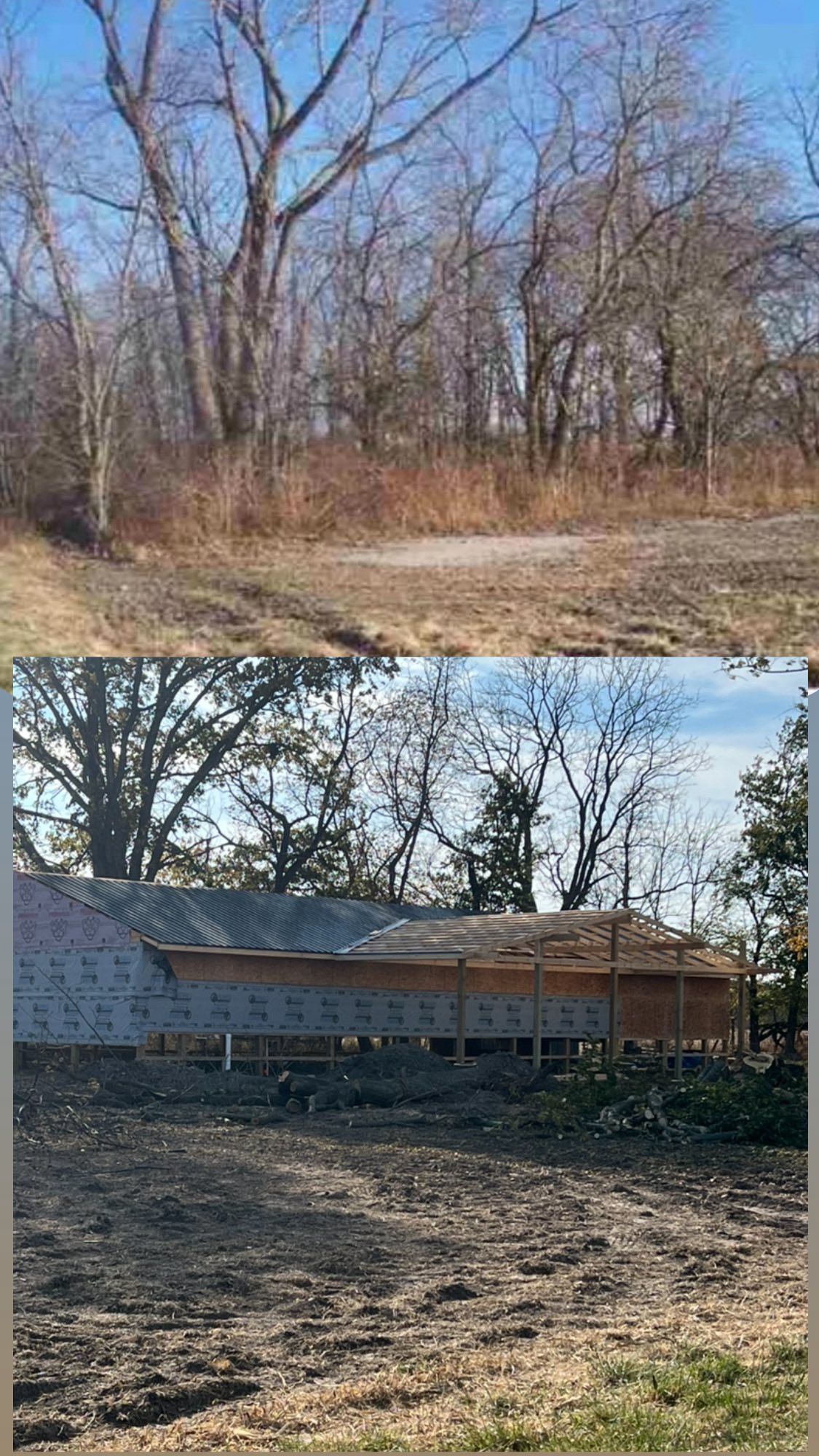 Two outdoor scenes: a wooded lot in winter and a small building beside bare trees.