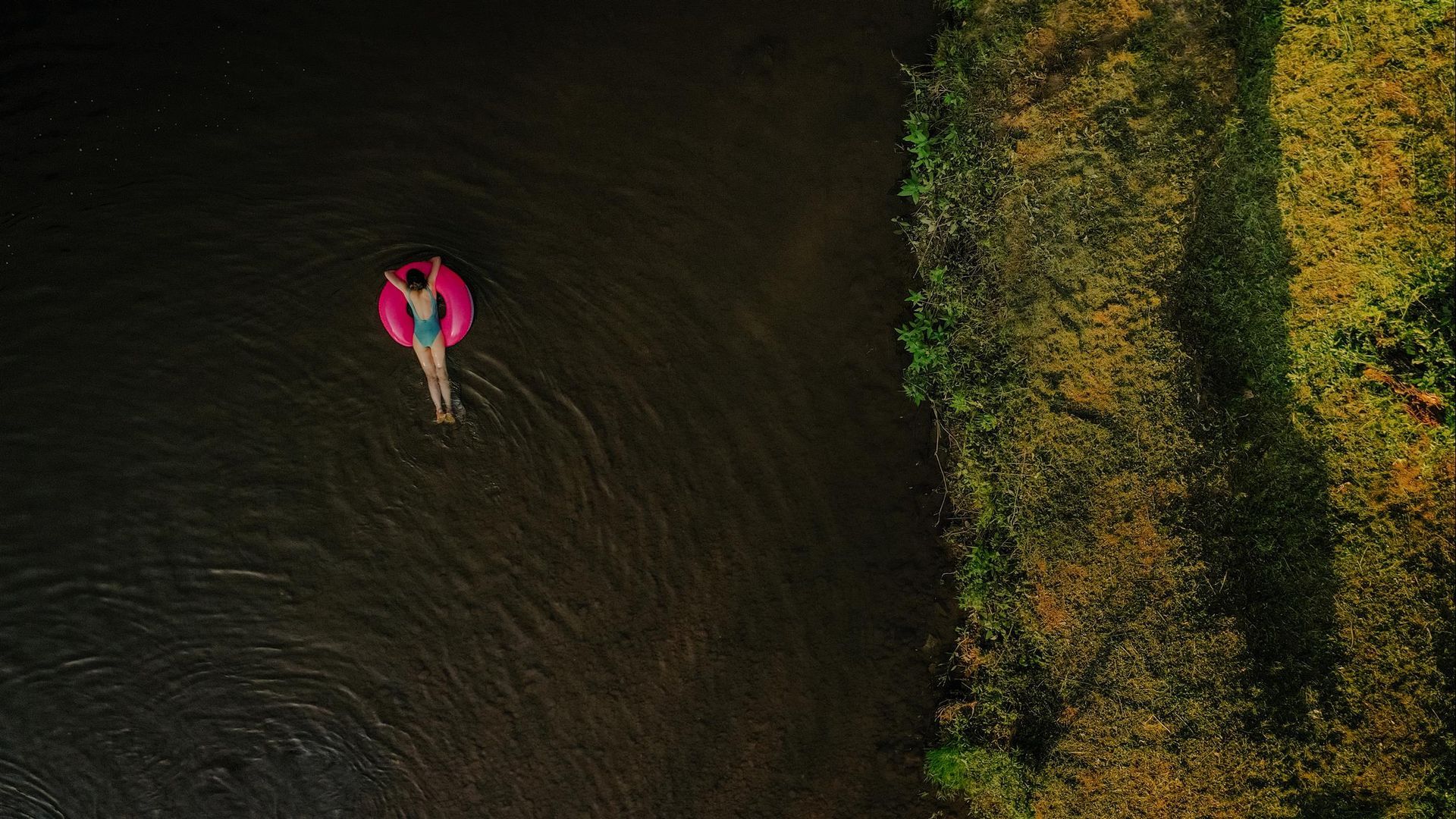 Person in a pink inflatable ring floating in dark water beside a dense green shoreline.