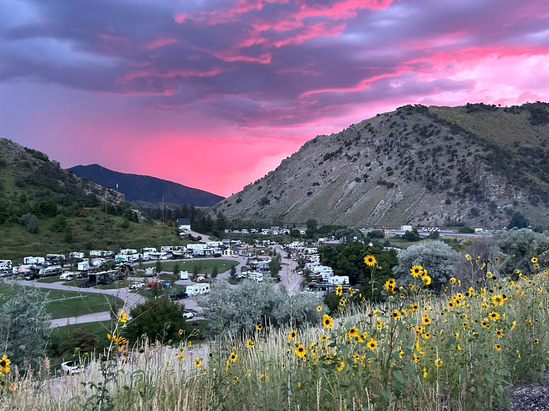 Wildflowers overlooking a mountain town under a vivid pink sunset sky