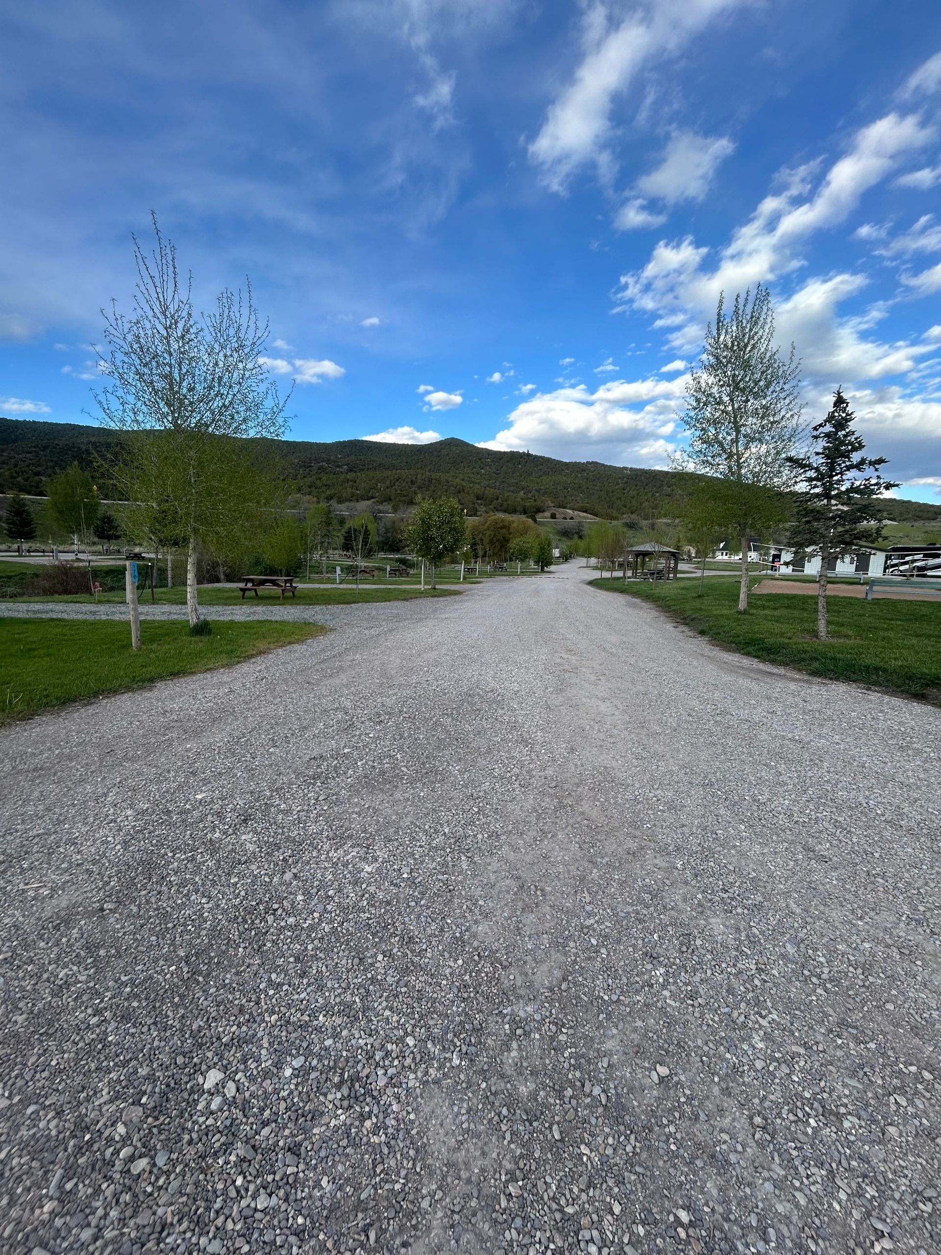 Gravel path through a green park with trees and a blue sky with clouds