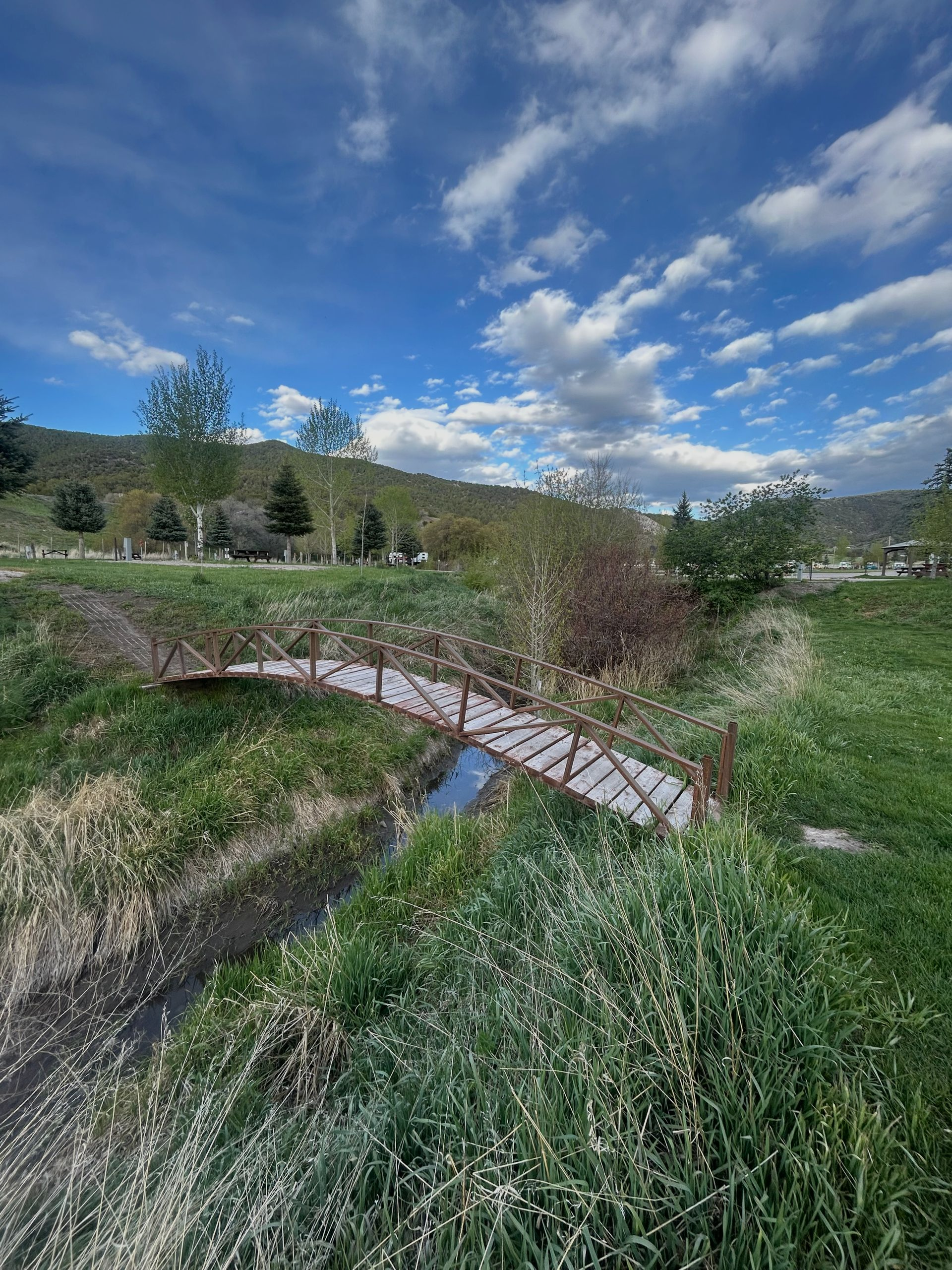 Curved wooden footbridge over a small creek in a green meadow under a partly cloudy blue sky