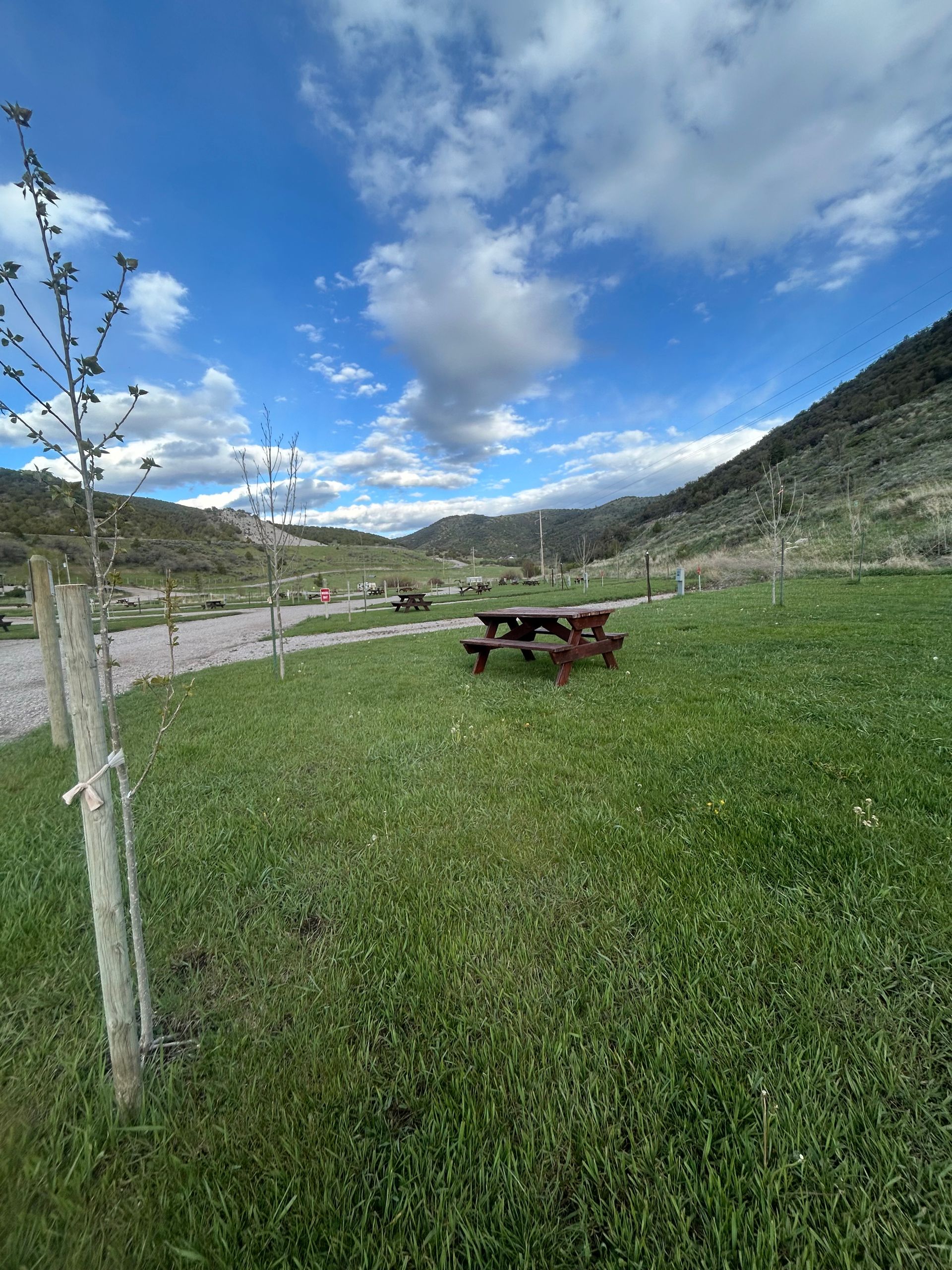 Picnic tables on a grassy field beside a river with mountains and a cloudy blue sky.