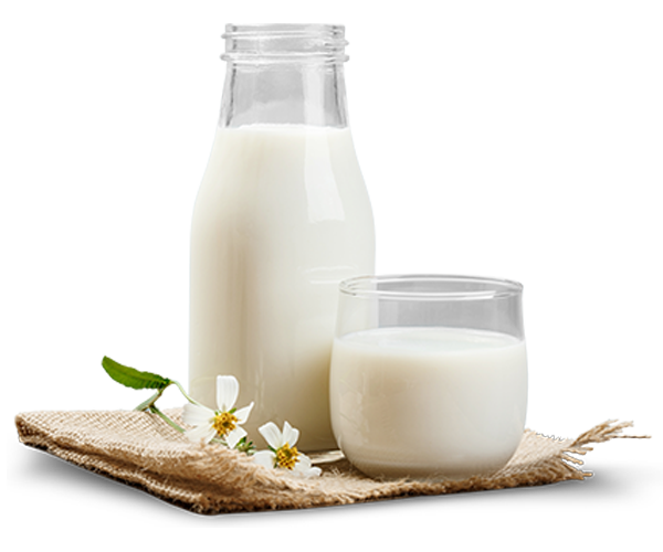A bottle of milk and a glass of milk on a napkin.