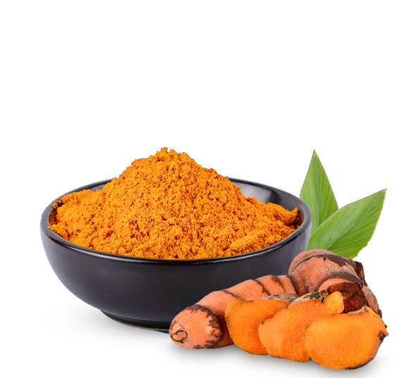 ESDT Food and Flavours