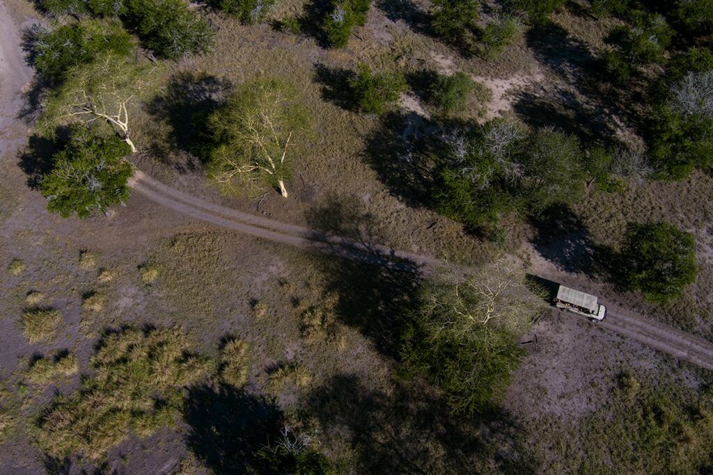 Gorongosa Success Story 2026 Mozambique Gorongosa National Park Wild Camp Aerial View 1024x683 