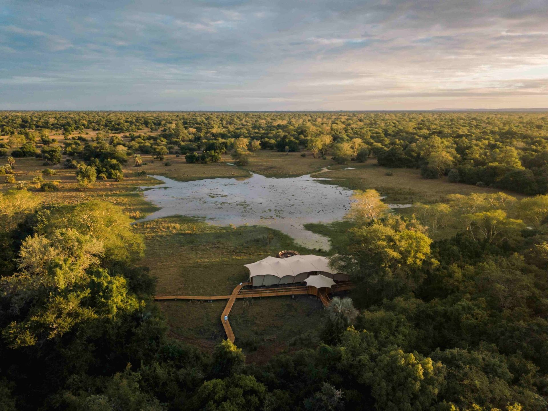 An elevated view of a safari lodge with a wooden walkway, nestled beside a watering hole in a lush, expansive forest.