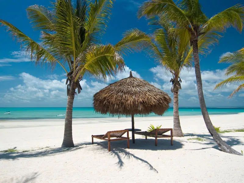 Two empty lounge chairs sit under a thatched-roof umbrella on a white sandy beach with palm trees and a turquoise ocean.