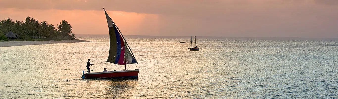 A sailboat with a colorful sail crosses calm water near a sandy, palm-lined shore during a warm, golden sunset.