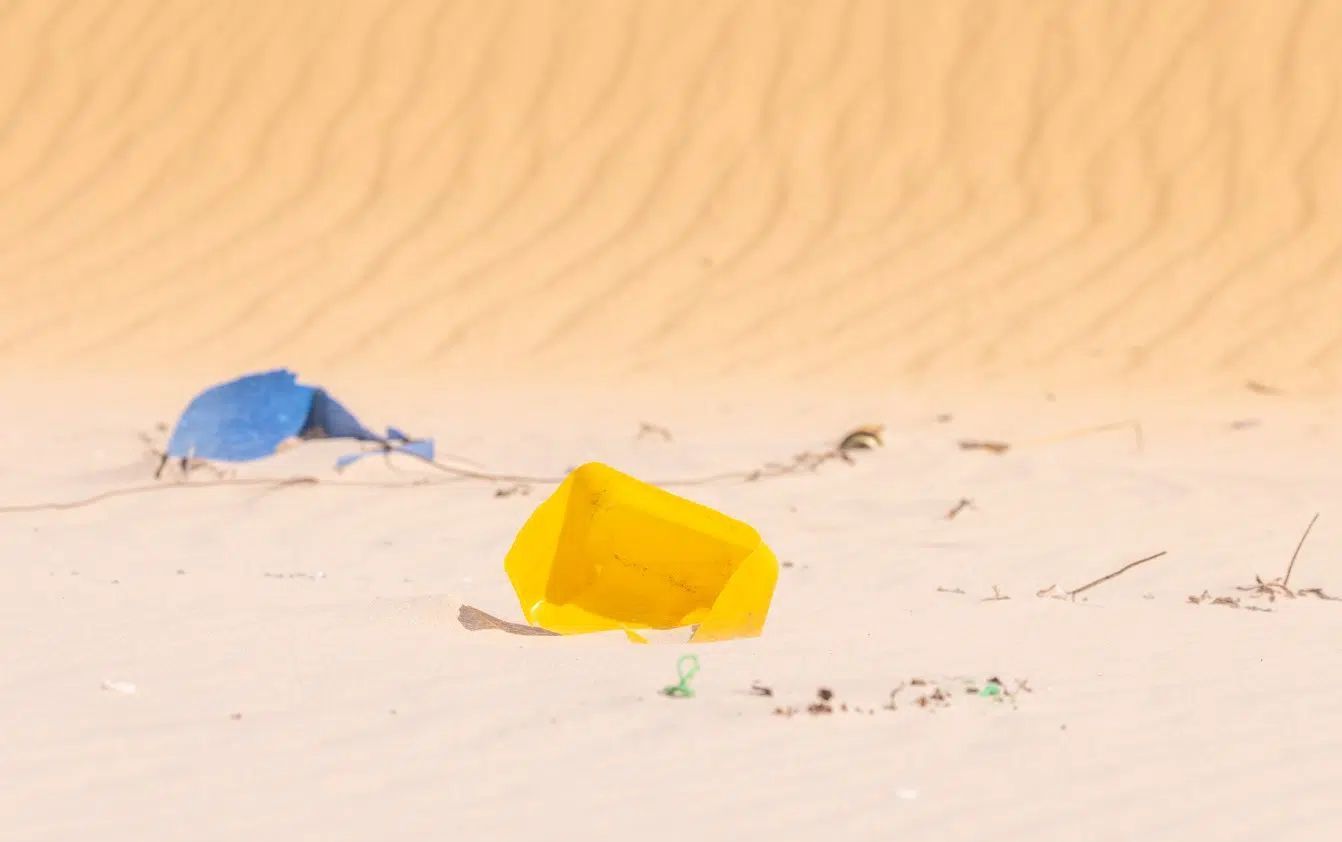 Litter, plastic, and other pollutants do more than just ruin the beauty of the beach. They are closing down coastal areas, destroying marine life, and making people sick. [Photo credits @BCSS/Orlando Miranda_Salvador Colvee]