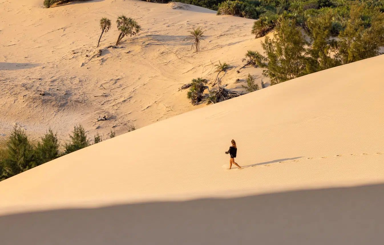 The unique eco-system of the Bazaruto Archipelago sustains diverse fauna and flora. Visitors exploring the islands will find huge dunes, forest and savannah, inland lakes and wetlands. [Photo credits @BCSS/Orlando Miranda_Salvador Colvee]