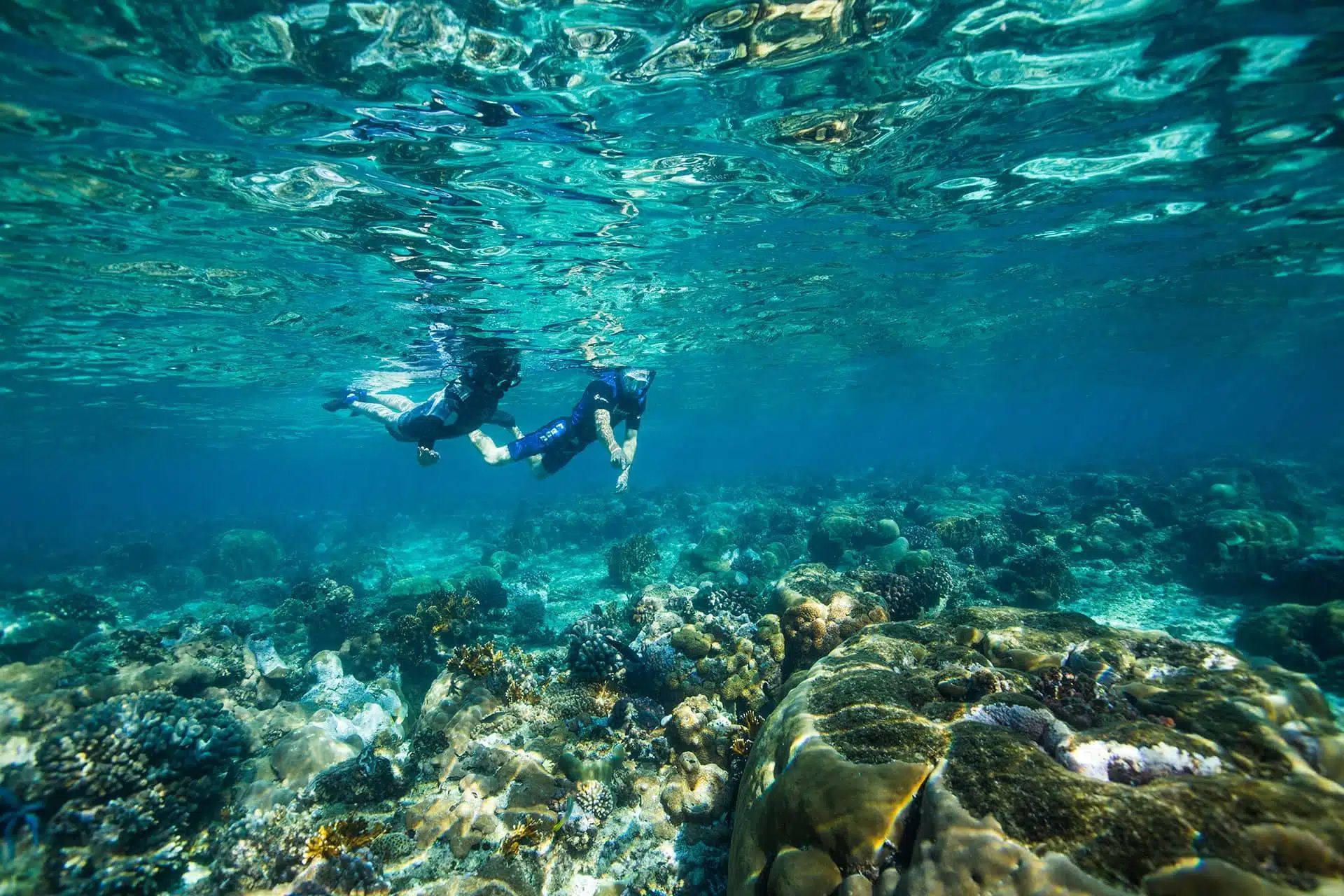 Two snorkelers swimming above a colorful coral reef in clear blue water