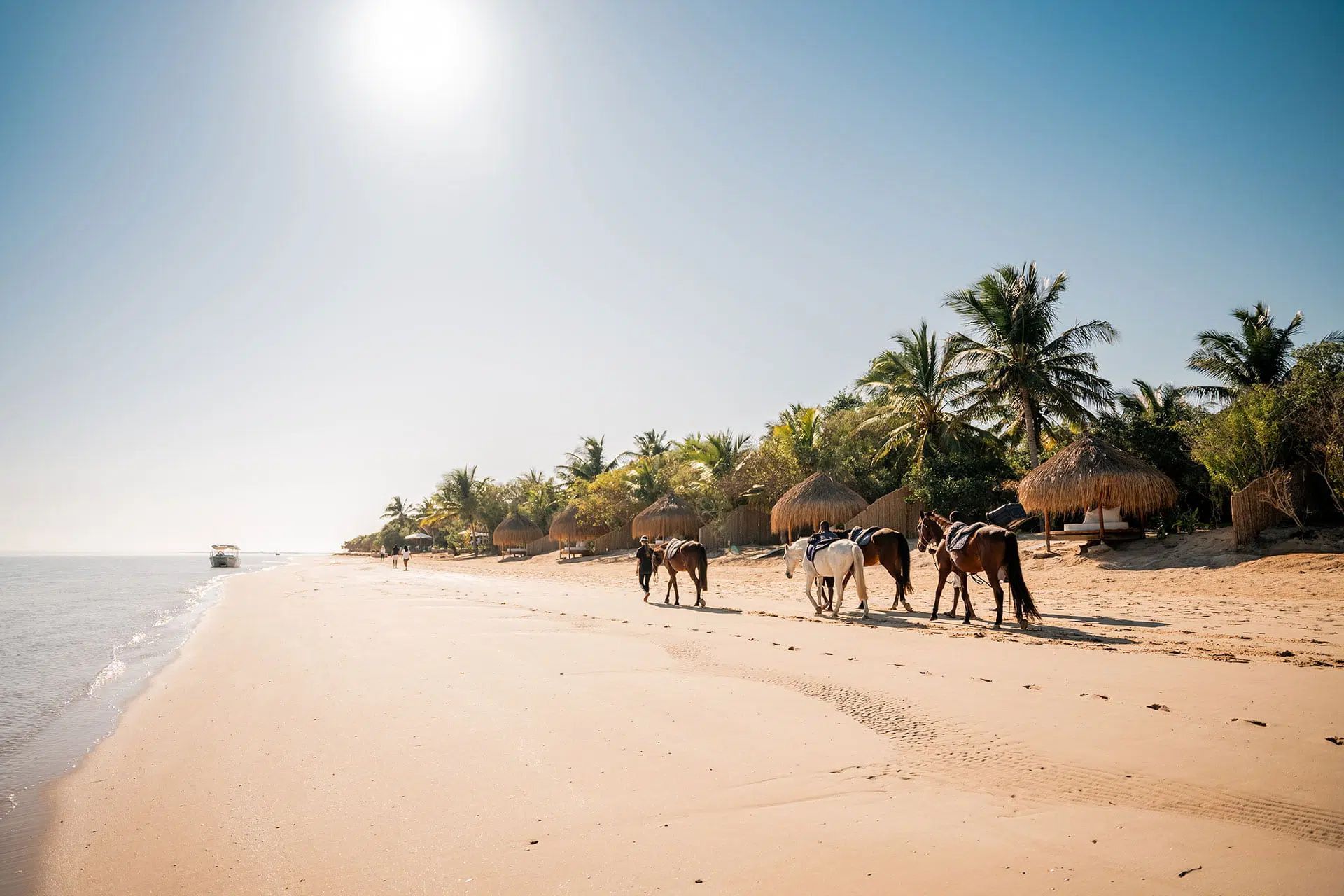 Embarking on a horseback riding journey along the picturesque water’s edge of Benguerra Island is an experience that will leave a lasting impression on avid riders.