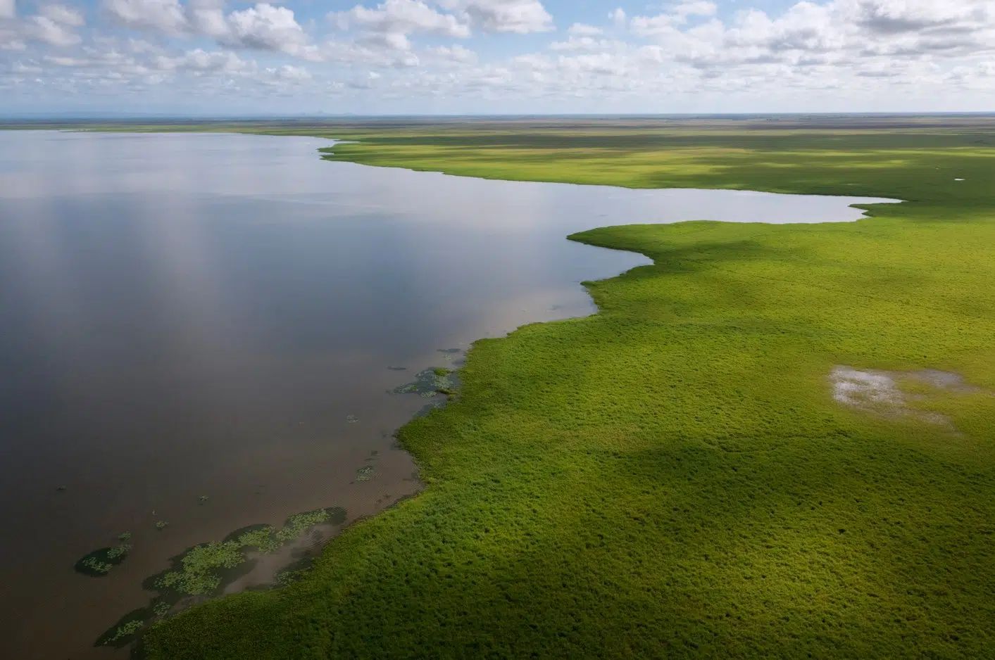 Gorongosa National Park is one of the most ecologically diverse regions in the world, and is home to a number of endemic bird species.