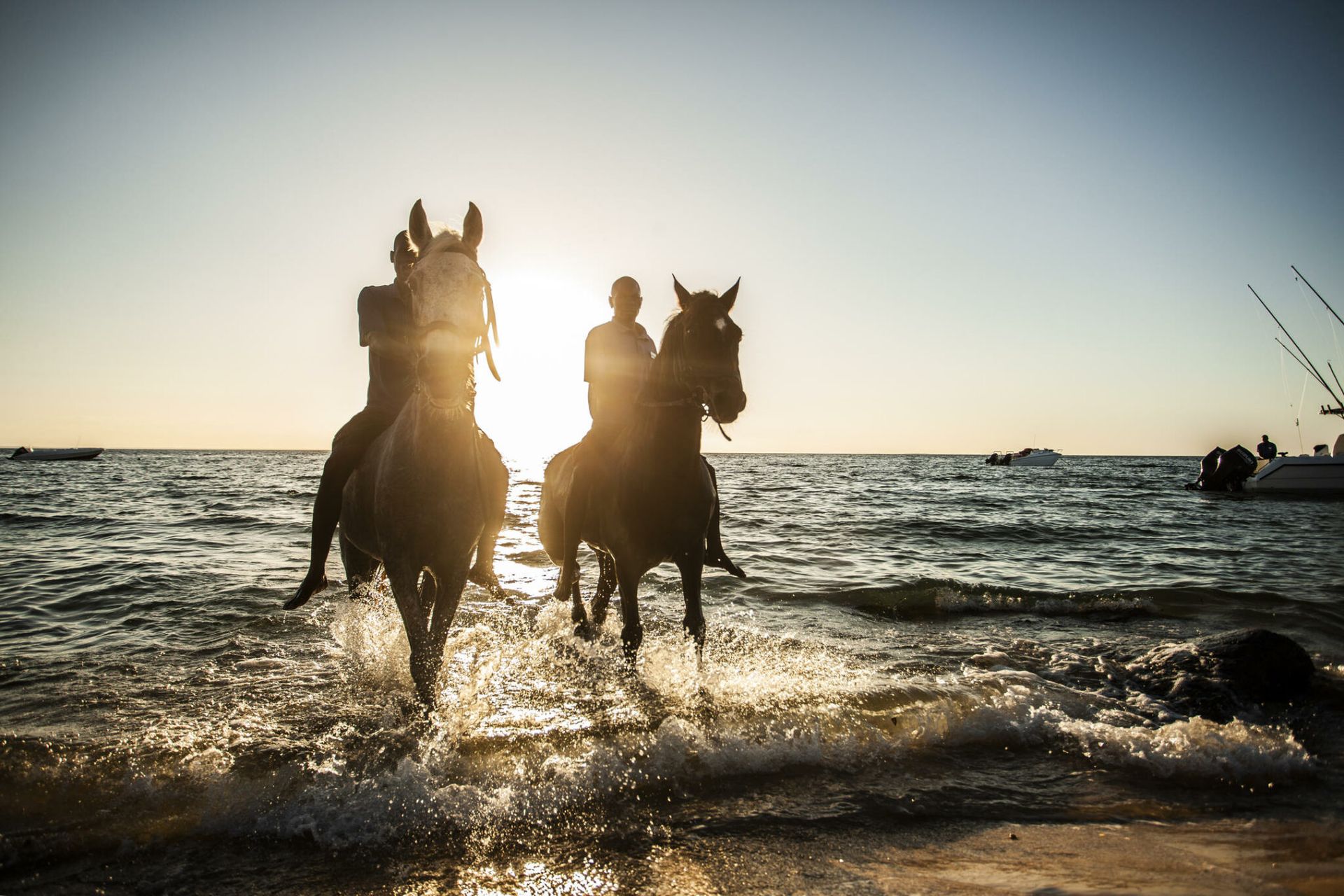 Two horses and riders silhouetted at sunset, splashing through shallow ocean waves