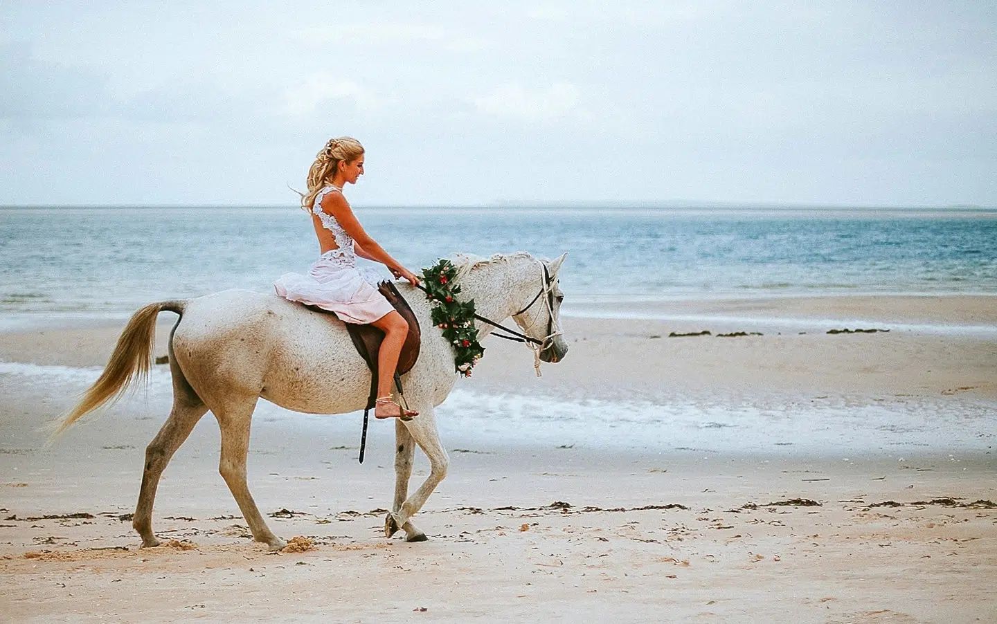 Person riding a white horse on a sandy beach by the ocean