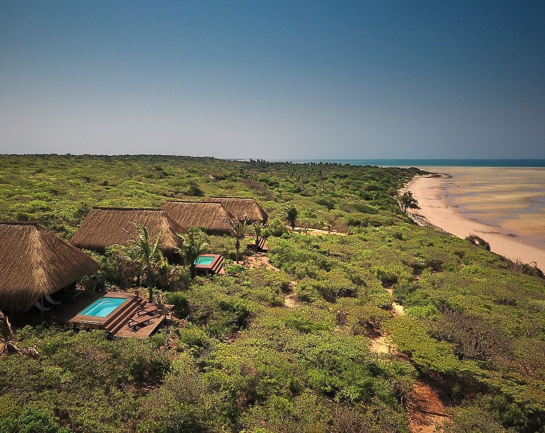 Thatched beach huts amid green vegetation beside a sandy shoreline and blue ocean