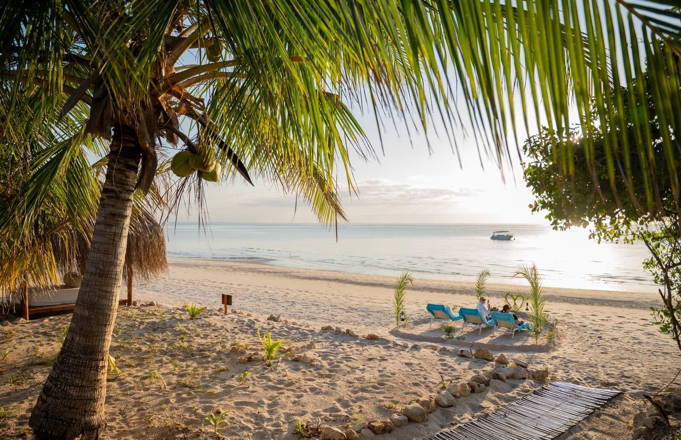 Palm-framed tropical beach at sunset with lounge chairs, sandy shore, and calm ocean.