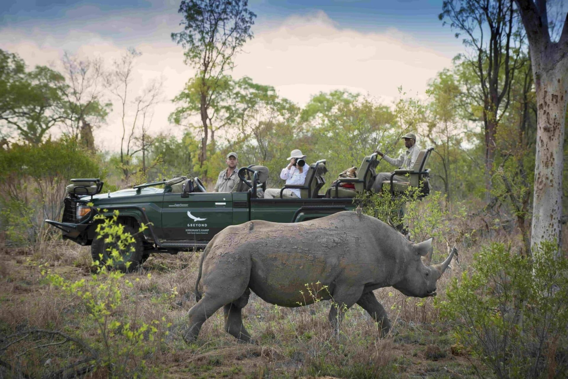 Kruger and White Pearl Mozambique Safari Beach Package