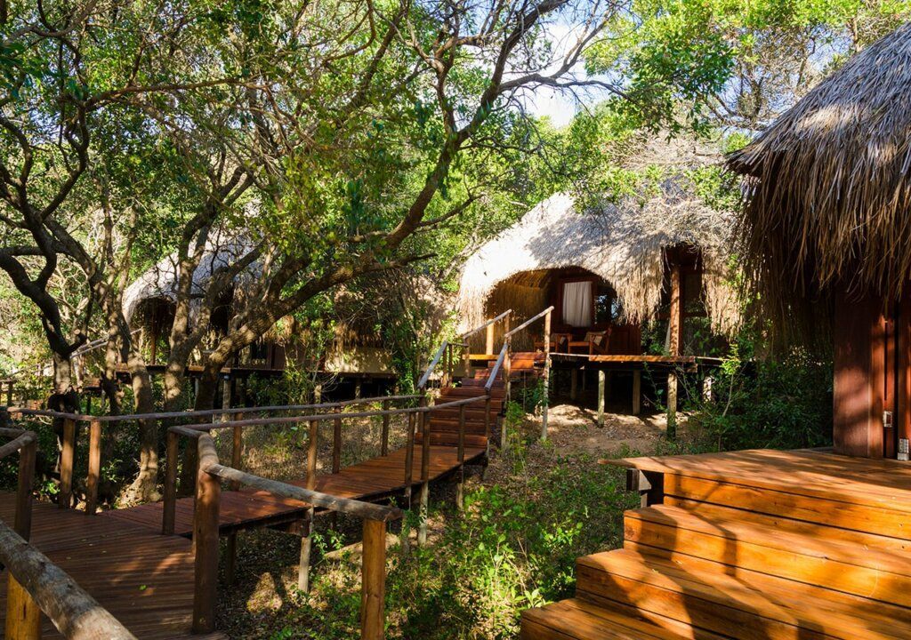 Wooden walkway and thatched huts in a lush forest retreat
