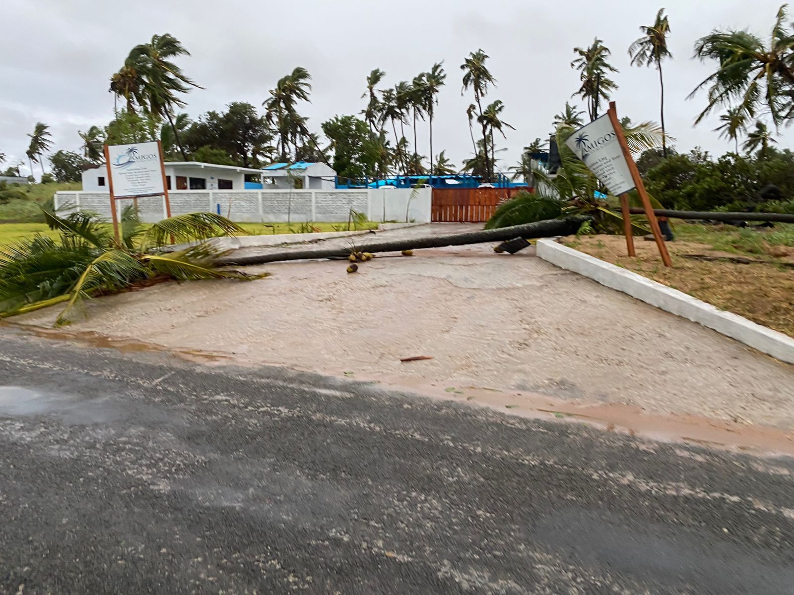 Blocked driveway with fallen gate arm at a rainy roadside entrance, palm trees and buildings in the background
