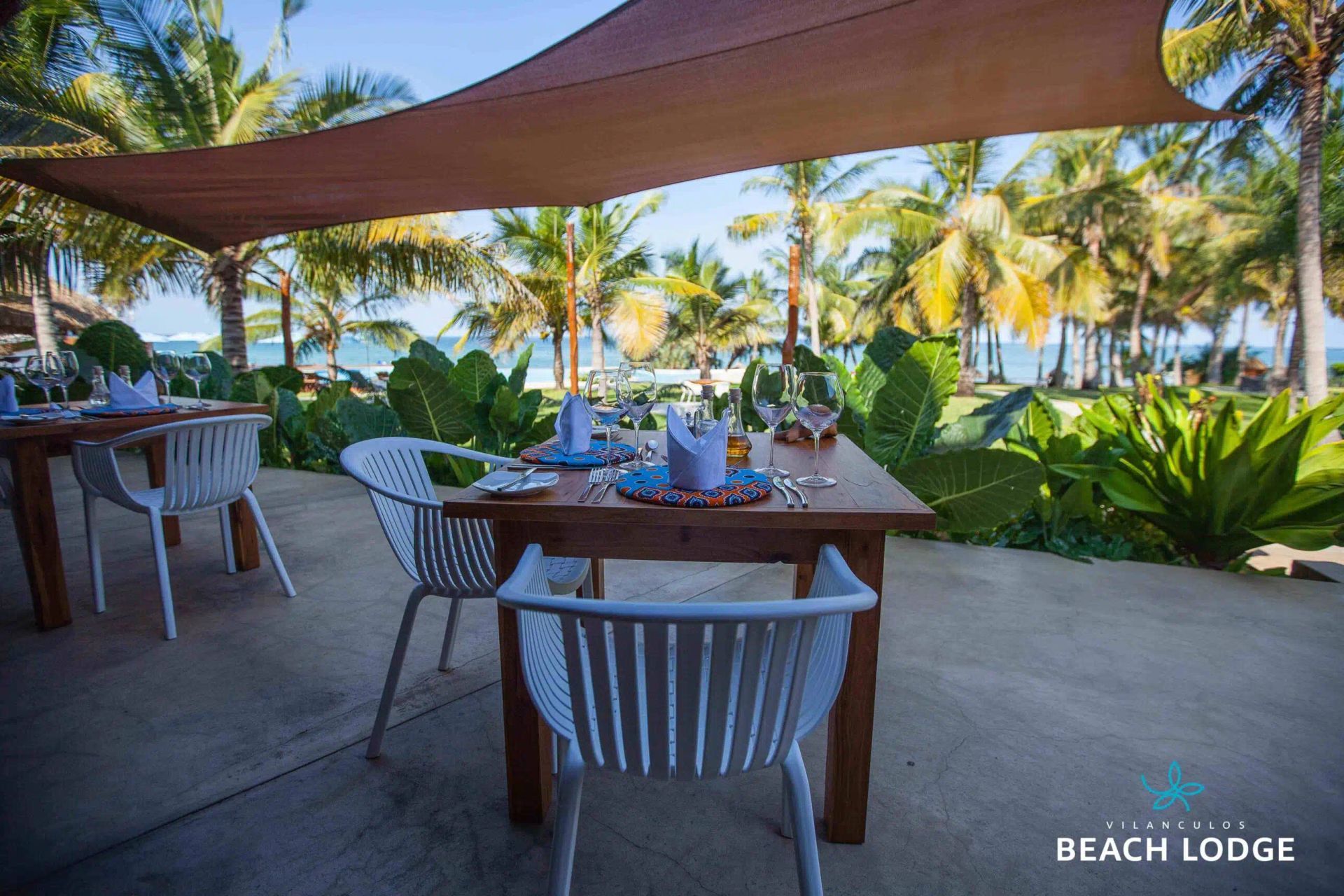 Shaded beachside patio with tables, chairs, tropical plants, and palm trees overlooking the ocean