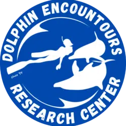 Blue Dolphin Encounters Research Center logo with white dolphins and a swimmer in a circle