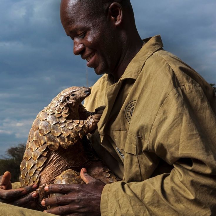 Man holding a curled pangolin close to his chest outdoors under a cloudy sky
