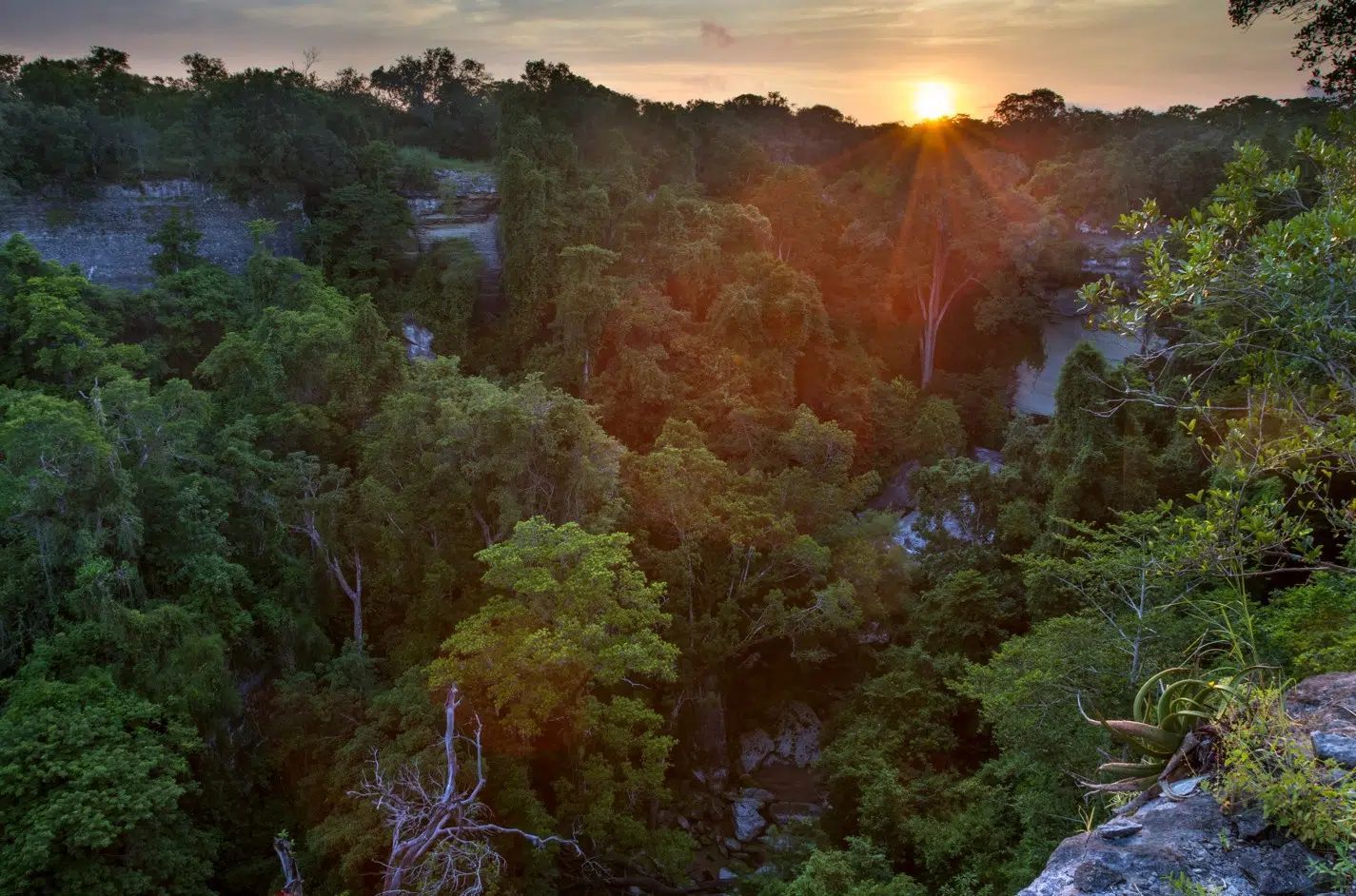 Sunset over a lush green forest with a rocky cliff in the foreground