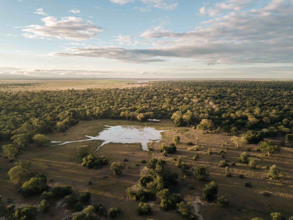 Five-Night Chicari Camp Gorongosa Safari Package
