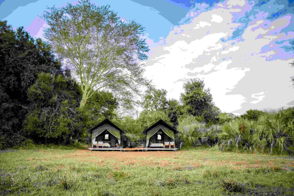 Two small cabins in a grassy field with trees and a bright cloudy sky