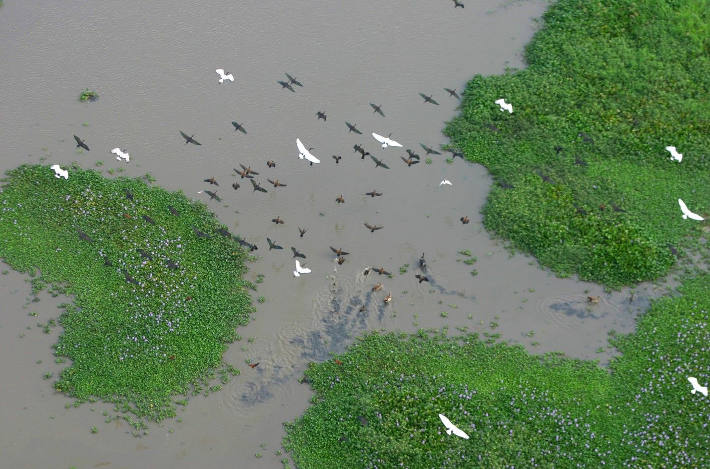 The birdlife in Gorongosa is good year-round. However, the Wet season (November to April) is the best time for bird-watchers as this is when migratory birds are present.
