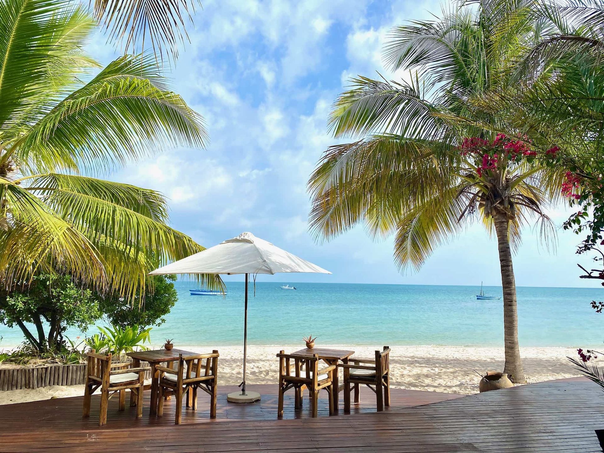 Tropical beach café with tables, white umbrella, palm trees, and calm blue ocean under a sunny sky