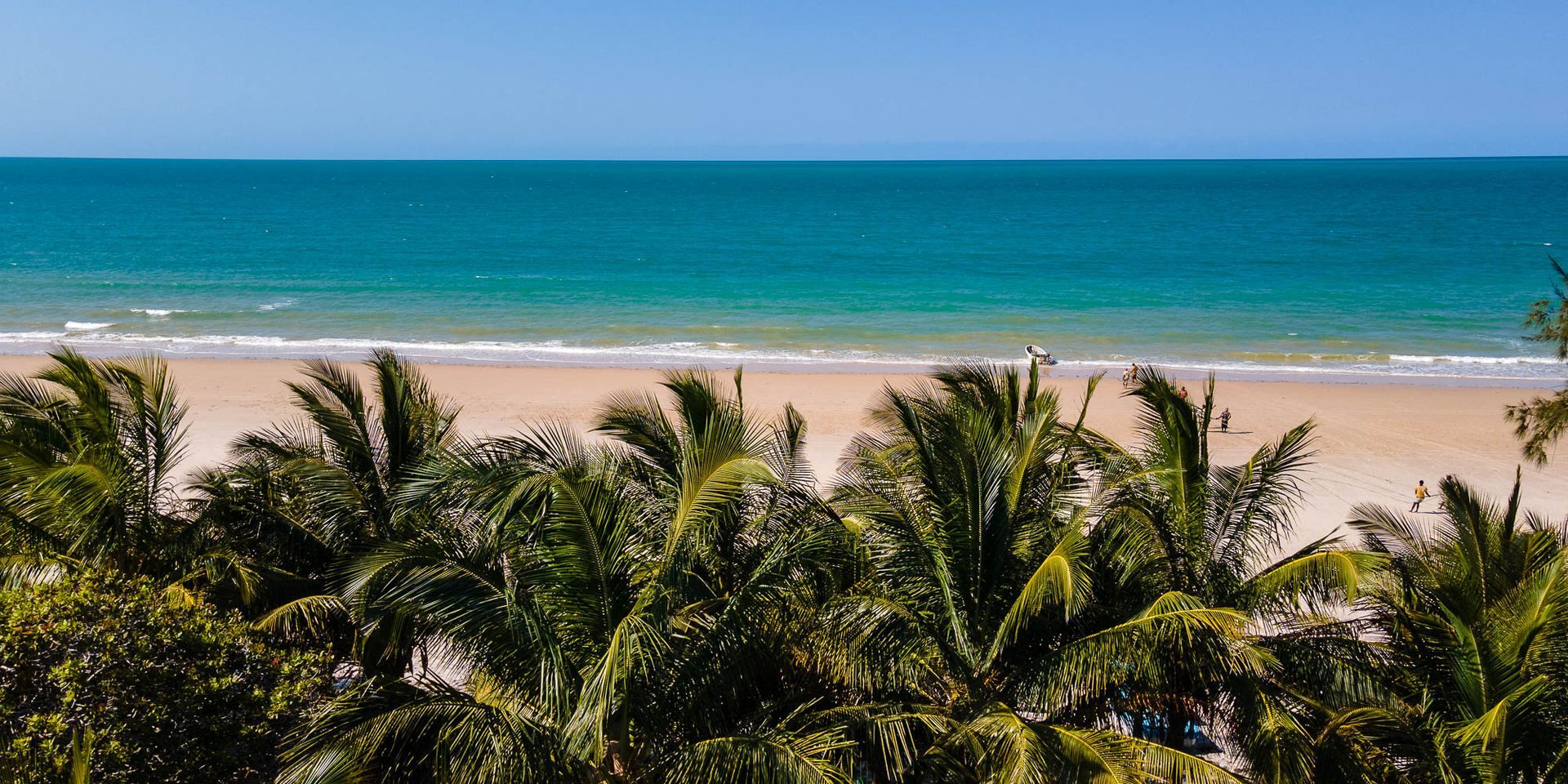 Palm trees framing a sunny tropical beach with turquoise ocean and blue sky