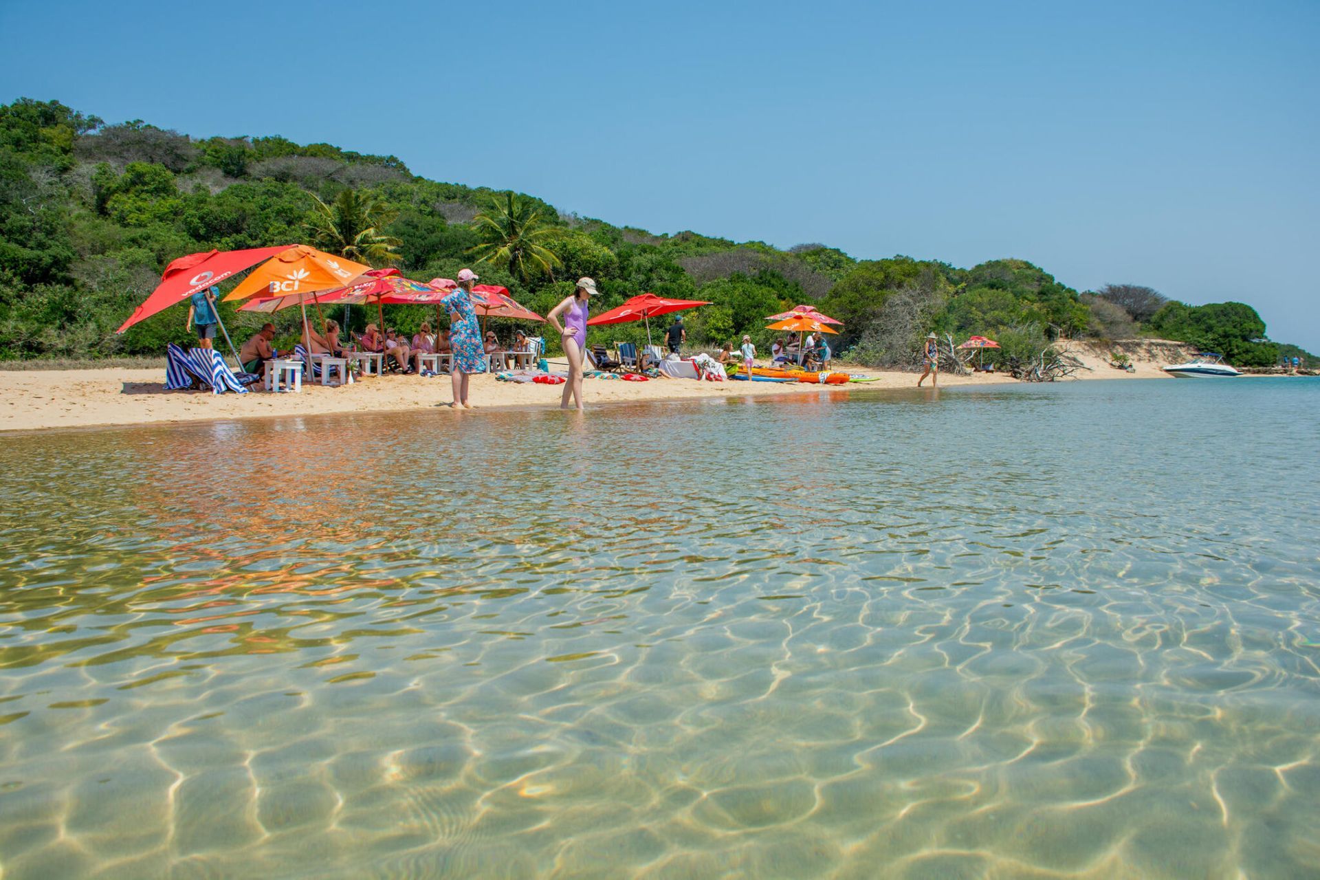 Inhaca Island is home to over 300 bird species, making it a haven for birdwatchers and nature lovers alike.