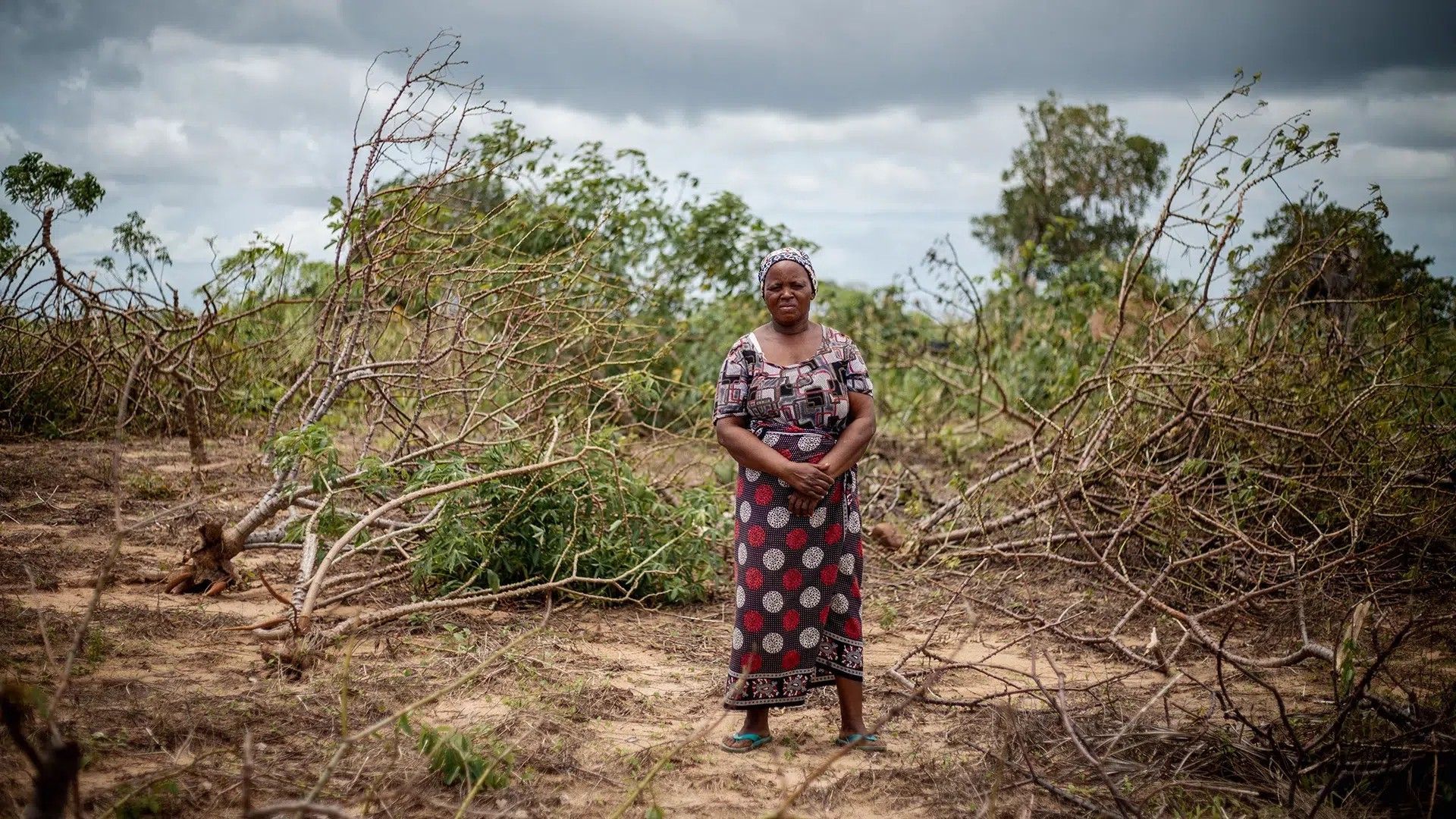 The 57-year-old farmer from Vilankulo in Inhambane province, Mozambique watched as Cyclone Freddy decimated her crops