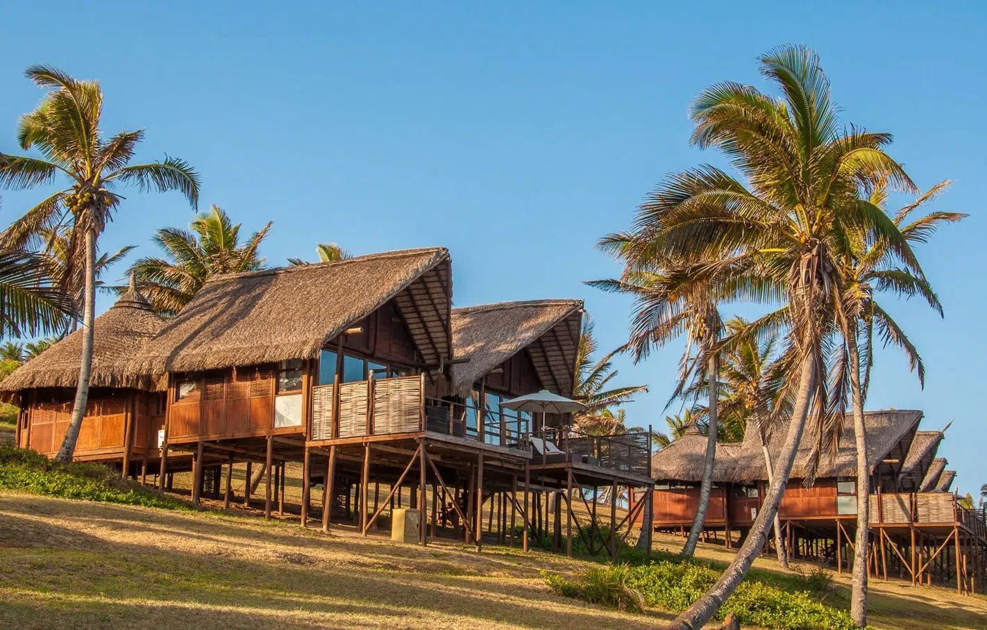 Thatched beach huts on stilts among palm trees under a clear blue sky