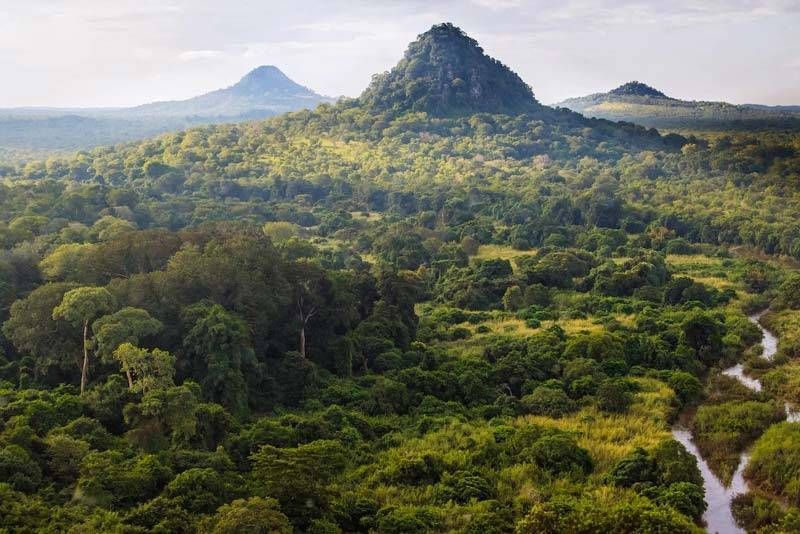 Lush green rainforest with a tall mountain peak and a winding river under soft daylight