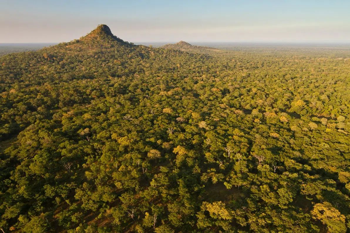 An authentic nature experience awaits all visitors to Muzimu Tented Camp deep in the wilds of Gorongosa National Park.