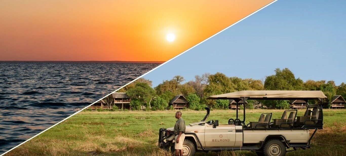 Split scene of sunset over ocean and safari jeep driving through grassy savanna under blue sky