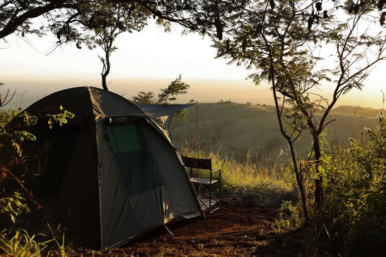 Tent in a grassy savanna at sunrise, with trees silhouetted against warm light