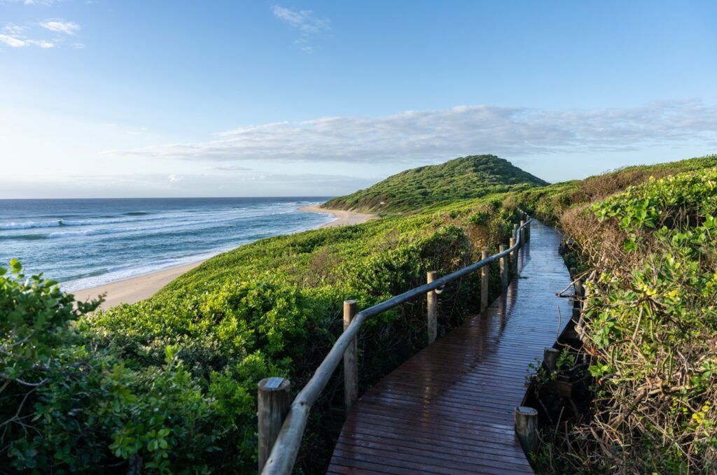 Boardwalk through green dunes beside a sunny ocean shoreline